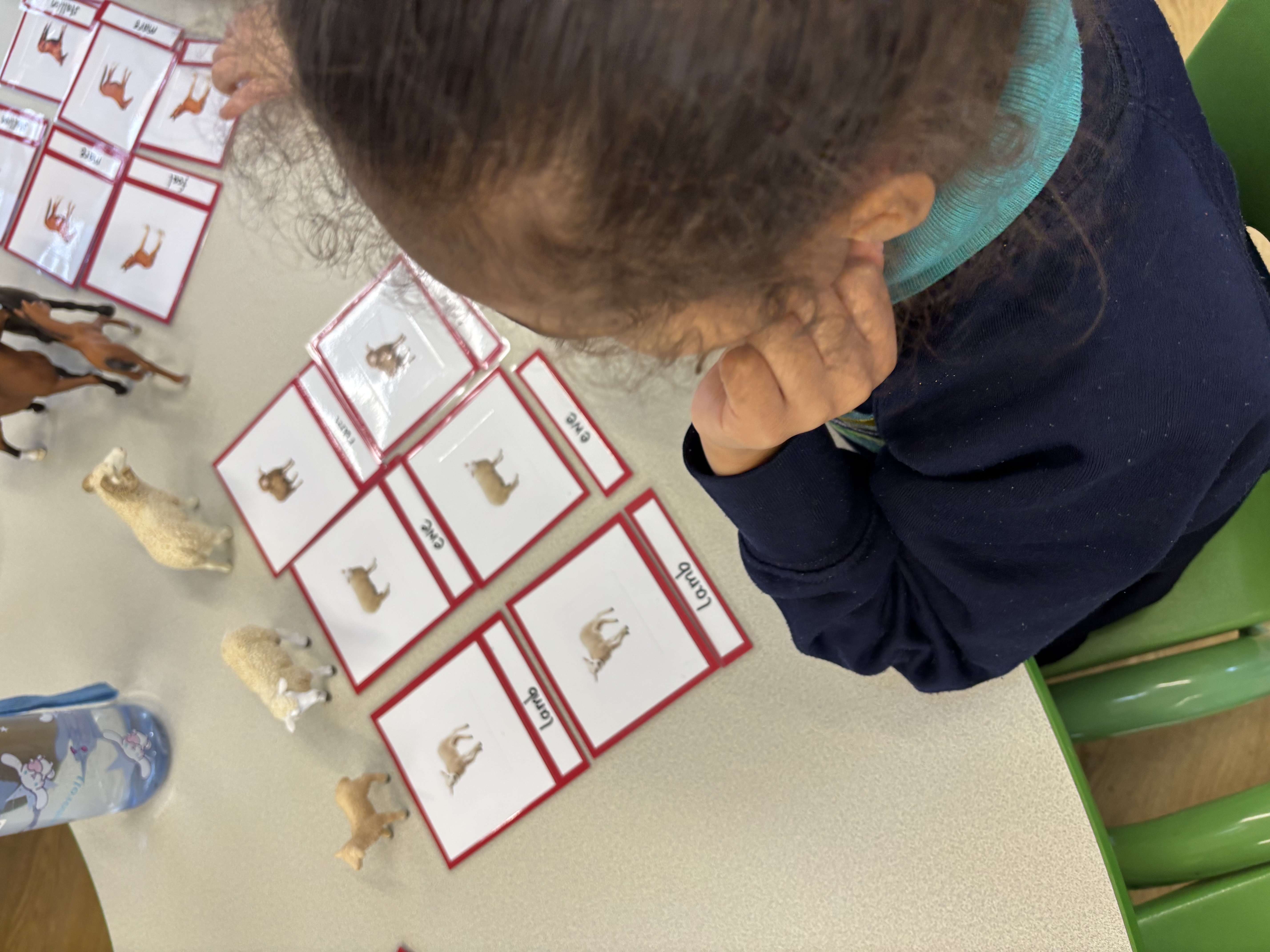 Montessori Discoverers Haringey