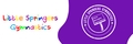 Little Springers Gymnastics - Leicestershire - Tuesday Pay & Play 10.00-11.00am Syston