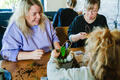Honey House - Honey House Collaging, Chats & Croissants at Gail’s