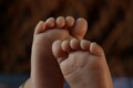Sanguine kids - Baby Reflexology course