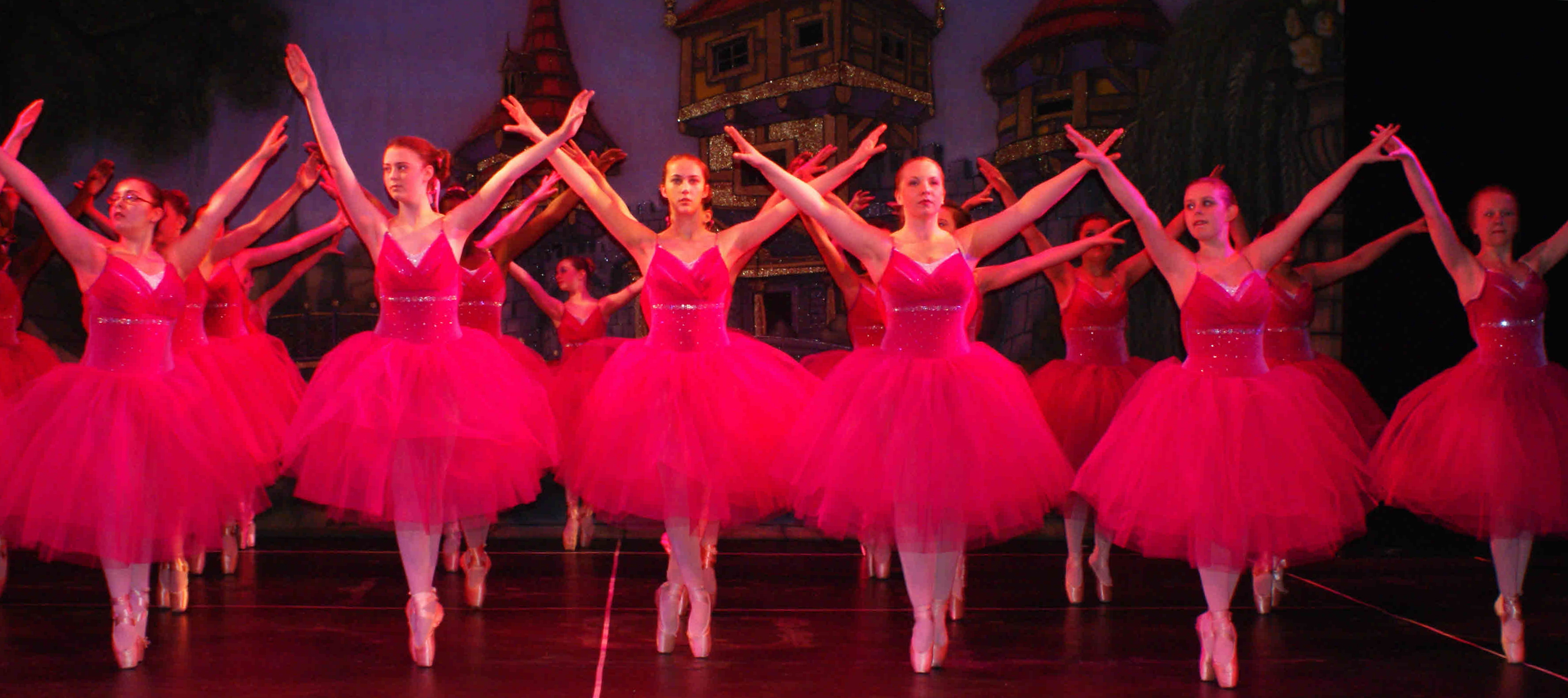 Tudor Rose School of Dance