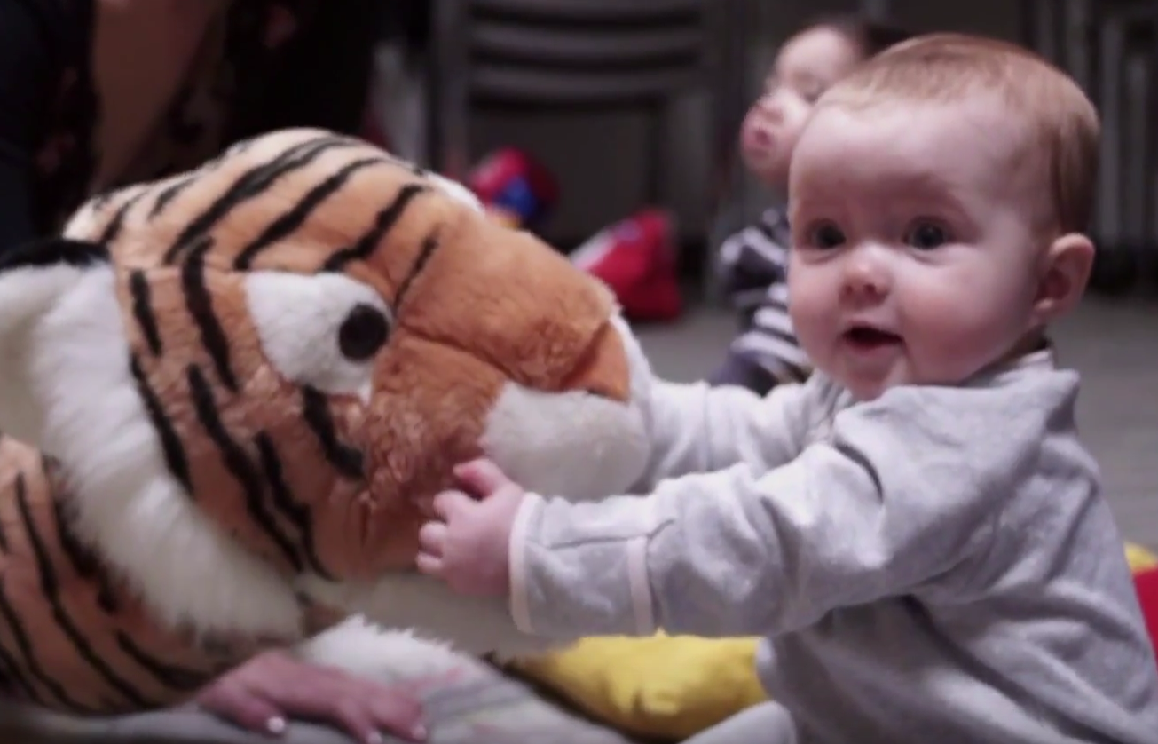 Les Petits Tigres