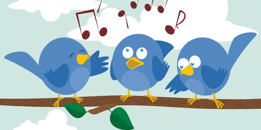 Little Birds Music