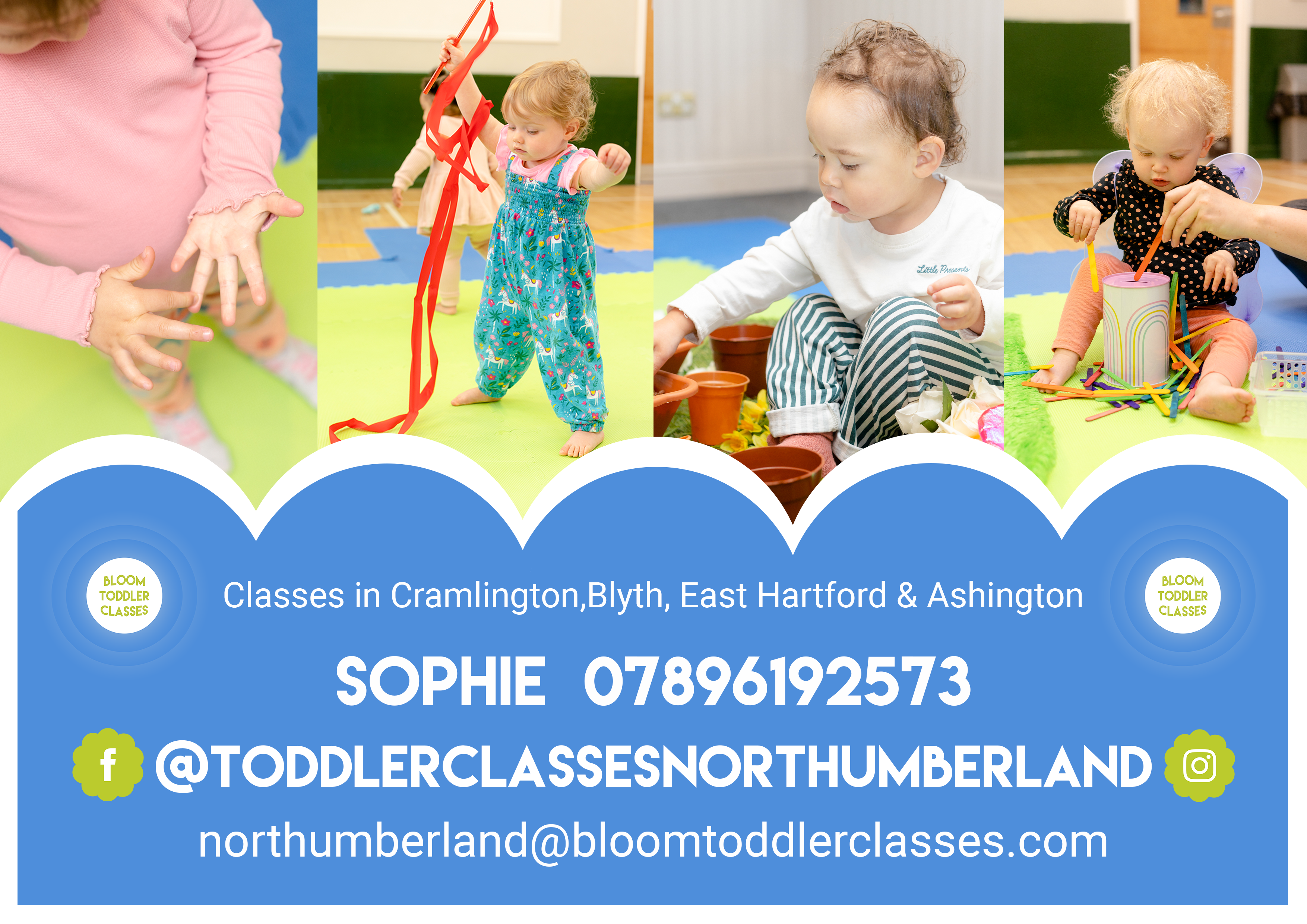 Bloom Toddler Classes