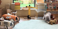 KindHaus - Workspace and Childcare