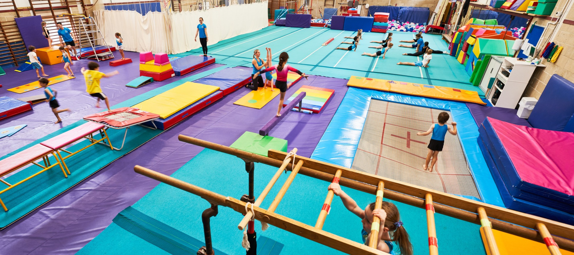Baskervilles Gymnastics