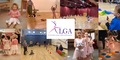 Lisa Gilbert Academy of Ballet and Performing Arts - Pre-School Acro/Gymnastics