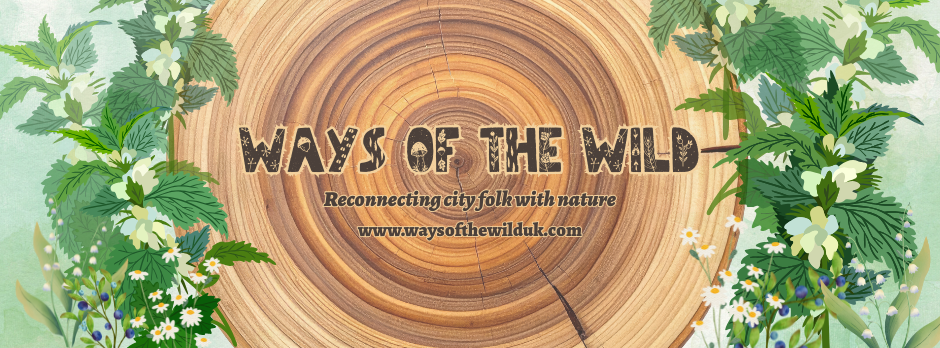 Ways of the Wild
