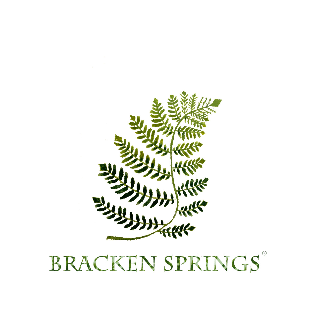 Bracken Springs Forest School North Boarhunt