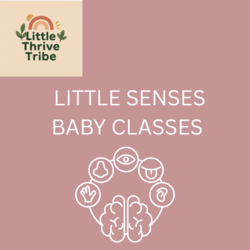 Little Senses by Little Thrive Tribe logo Sensory