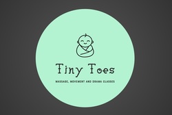 Tiny Toes Flintshire logo