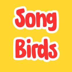 Song Birds Classes logo 