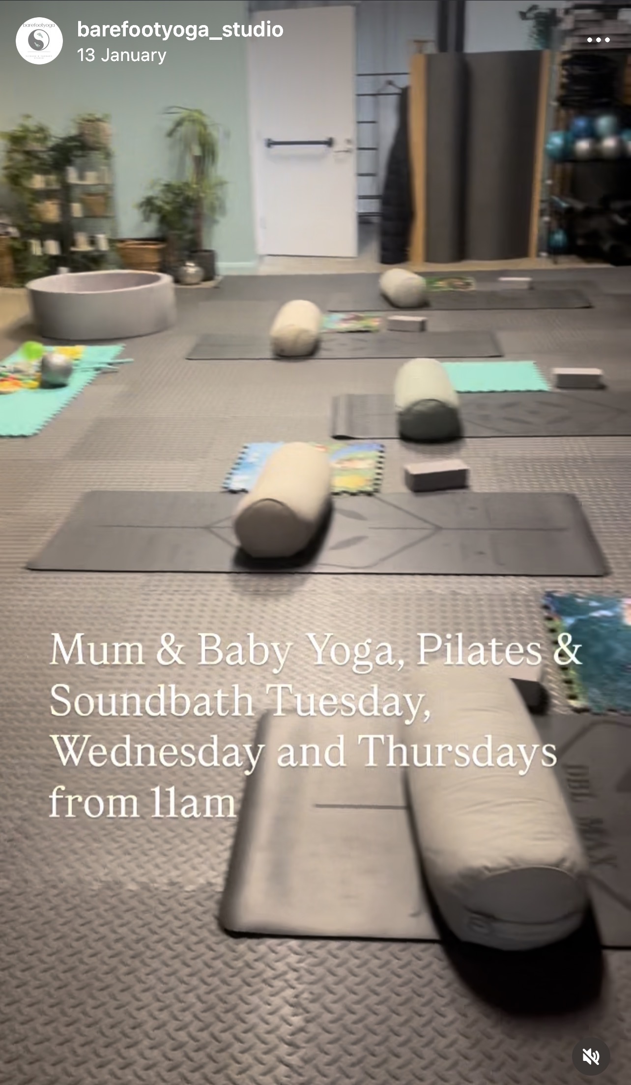 Barefoot Yoga Fitness and Therapy Studio - Puppy Yoga for Adults & Kids