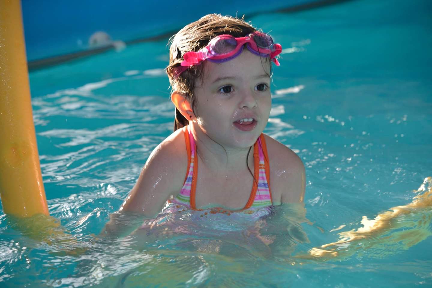 Les Petits Dauphins