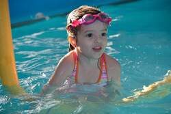 Les Petits Dauphins logo