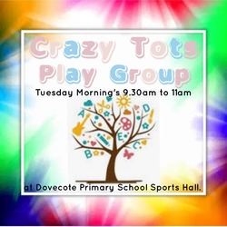 Crazy Tots PlayGroup logo Stay and Play & Playgroups