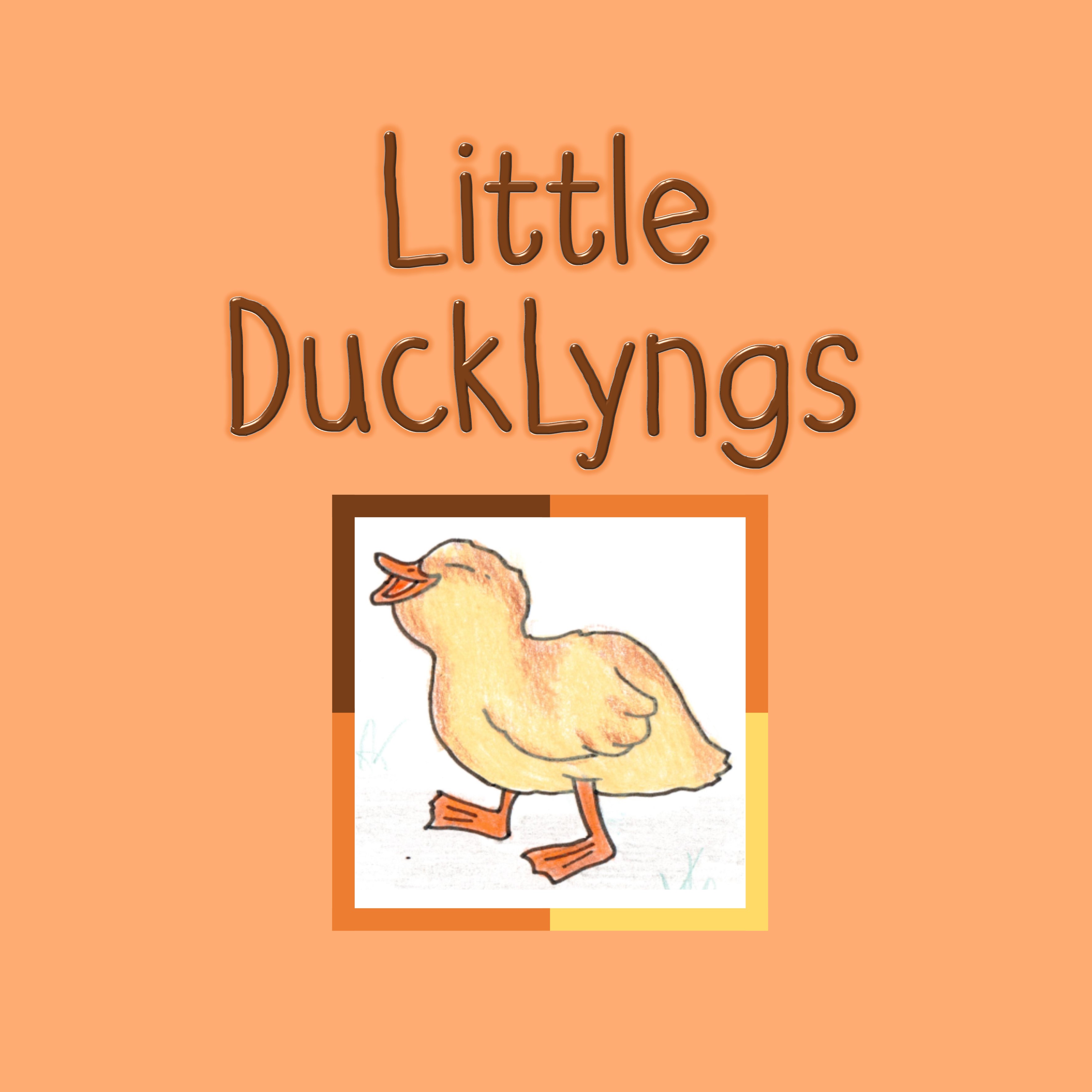 Little DuckLyngs Stay and Play