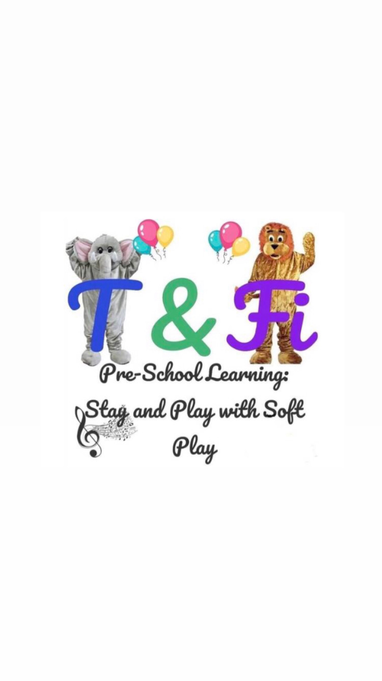 T & Fi Soft Play