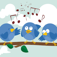 Little Birds Music