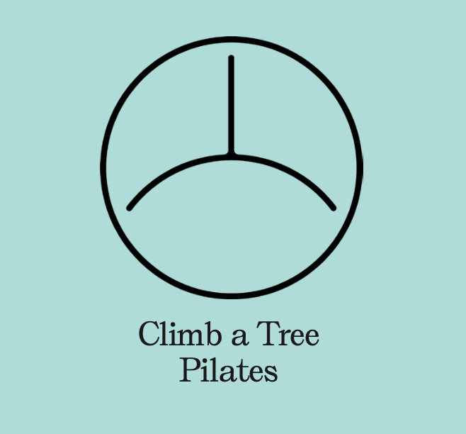 Climb a Tree Pilates